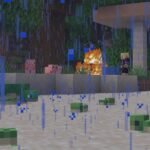 Minecraft Java Edition 26.1.1 | Minecraft