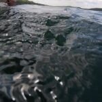 Immaculate Wilderness, Uncertain Future: Paddling the Boundary Waters