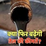 अब OPEC का हिस्सा नहीं रहेगा UAE, जानें भारत पर इस फैसले का असर: क्या फिर से बढ़ेगी तेल की कीमत?