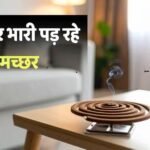 मच्छरों का ‘महंगा’ डंक, बचाव के लिए हर साल हजारों करोड़ खर्च कर रहे भारतीय, रकम सुन उड़ जाएंगे होश