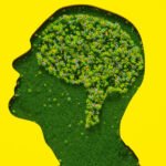 AI on the couch: Anthropic gives Claude 20 hours of psychiatry