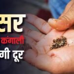 तंबाकू छोड़ते ही अमीर बन जाएंगे भारत के 10 फीसदी परिवार, स्टडी ने बताया- ये है सबसे अच्छा ‘इन्वेस्टमेंट’