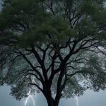 पश्चिमी विक्षोभ ने बदला मौसम का मिजाज:अब 10 अप्रैल तक आंधी, पानी और बर्फबारी; कैसा है आपके राज्य का हाल? – Western Disturbance Alters Weather Patterns Now Expect Storms Rain And Snowfall Until April 10