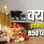 Biofuel: इंडोनेशिया के एक फैसले ने कैसे बढ़ाई भारतीय मिडिल क्लास की चिंता, फटेगा महंगाई का बम