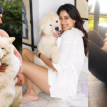 सलमान खान से आलिया भट्ट तक, नेशनल पेट डे पर अपने पेट्स पर इन सितारों ने लुटाया प्यार