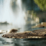 ओप्पो F33 सीरीज भारत में लॉन्च, कीमत ₹31,999 से शुरू:50MP सेल्फी कैमरा और 7000mAh बैटरी; 85°C गर्म पानी में भी खराब नहीं होगा फोन