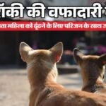 लावारिस कुत्तों ने ढूंढा महिला का शव:रोज खिलाती थी रोटी; पहले ढूंढी साड़ी, फिर नाले में कूदकर शव तक पहुंचाया – Dogs Find Body Of A Woman Who Used To Feed Her Bread Every Day