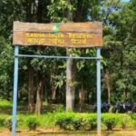 Mandla News: Tiger Cub Found Dead Again In Kanha, Third Death In A Month Raises Forest Department Concerns – Madhya Pradesh News