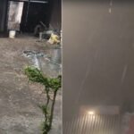 दिल्ली-ncr में बारिश-ओले:हवा के साथ झमाझम बरसात, आसमान में काले बादलों ने जमाया डेरा, मौसम हुआ सुहावना – Weather Update Imd Alert Rain And Hail In Delhi Ncr News In Hindi