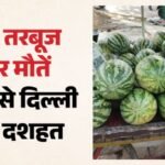 दिल्ली में तरबूज से दहशत:मुंबई में चार लोगों की मौत के बाद राजधानी में खरीदने से बच रहे लोग, बाजार पर असर – Watermelon Scare In Delhi People Start Avoiding Purchases