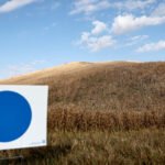 What to Watch in Tuesday’s Primaries in Nebraska and West Virginia
