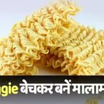 300 रुपये की मैगी बेचकर युवक ने कमाए 21 हजार रुपये! वीडियो देख पहाड़ों पर शिफ्ट होने की छिड़ी बहस