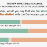 Democrats’ Midterm Strength Masks Fierce Divides and Frustration, Poll Shows