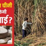 Sugar Export: चीनी पर सरकार टेंशन में क्यों? स्टॉक भरपूर फिर क्यों अपनाया प्रोटेक्शन मोड? जानें निर्यात बैन की वजह