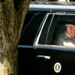 Trump Is Dominating G.O.P. Primaries. Does That Mean Victory in the Midterms?