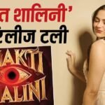 शाहरुख खान की ‘किंग’ से अनीत पड्डा की ‘शक्ति शालिनी’ को खतरा! मेकर्स ने उठाया ये बड़ा कदम