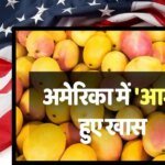 Indian Mango: अमेरिका में मिनटों में बिक रहे भारत के आम, अल्फांसो और केसर का दिखा जबरदस्त क्रेज! खत्म हुए स्टॉक