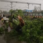 Weather:देश के 15 राज्यों में बारिश और तूफान का अलर्ट जारी, मौसम विभाग ने दी चेतावनी – Weather News Today Imd Issue Alert Of Rain Storm In Many States Advisory