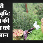 Himachal Weather:बर्फीला तूफान और अंधड़-बारिश, ओलावृष्टि से सेब की फसल को नुकसान, जानें आज का मौसम – Himachal Weather Snowstorms Gusty Winds And Rain Hailstorm Damages Apple Crop Check Today Weather Forecast