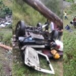 हिमाचल में दर्दनाक हादसा:कुल्लू में चलती बोलेरो पर गिरा चीड़ का पेड़, चार महिला शिक्षकों की मौत; तीन घायल – Four Female Teachers Died And Three Injured In Tree Fell On Bolero In Kullu In Himachal Pradesh