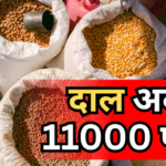 बजट बिगाड़ रही महंगाई, 11000 की अरहर तो 9000 की उड़द, जानें आपके शहर में कितने की मिलेगी 1 किलो दाल?