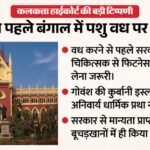 कलकत्ता हाईकोर्ट का बड़ा फैसला:बंगाल में गोवंश वध पर पाबंदी रहेगी जारी, बकरीद से पहले सभी याचिकाएं खारिज – Calcutta High Court Dismisses Challenge West Bengal Cattle Slaughter Notification