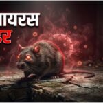 हंतावायरस का प्रकोप:क्रूज जहाज के छह यात्री ऑस्ट्रेलिया में तीन सप्ताह के लिए क्वारंटीन, अब तक कितनी मौतें? – Hantavirus Outbreak Cruise Ship Passengers Quarantine In Australia How Many Deaths So Far Who Advisory News