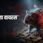 हंतावायरस का खतरा बढ़ा:क्रूज जहाज पर एक व्यक्ति पॉजिटिव, 17 अमेरिकी यात्री विशेष विमान से लौटे – Hantavirus Threat Rises Two Person On A Cruise Ship Tests Positive 17 Us Passengers Return On A Special Flight