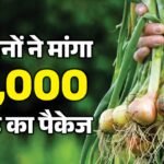 Maharashtra:प्याज किसानों ने केंद्र से मांगा 10,000 करोड़ का राहत पैकेज, सरकार की नीतियों पर उठाए सवाल – Maharashtra Onion Farmers Have Demanded A Relief Package Of Rs 10000 Crore From The Centre