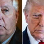 A Timeline of Donald Trump and Lindsey Graham’s Relationship Before the South Carolina Primary