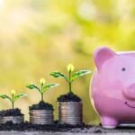 Financial Rules: अमीर बनना है तो गांठ बांध लें निवेश के ये 7 सुनहरे नियम, बदल जाएगी आपकी किस्मत