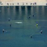 Prosecutors in Washington Say Citations Have Been Issued at Reflecting Pool
