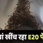Ethanol Fuel: कार के फ्यूल कैप पर चींटियों को लेकर बड़ा खुलासा, E20 पेट्रोल पर सरकार का बयान जान लें