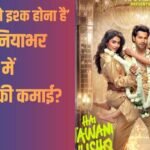 HJTIHH Worldwide BO Final Collection: वरुण धवन की ‘है जवानी तो इश्क होना है’ का वर्ल्डवाइड सफर हुआ खत्म, जानें- कितना किया कलेक्शन