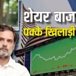 Rahul Gandhi Birthday: शेयर बाजार के उस्ताद निकले राहुल गांधी, किन-किन कंपनियों में लगा रखा है पैसा? खूब मिलता है मुनाफा
