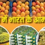 Explained: जापान के बाद नेपाल में भारत के आम बैन क्यों? जो हम खाते, विदेश में छू भी नहीं रहे, माजरा क्या?