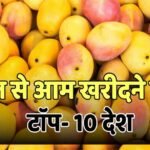 Top Mango Importers: भारत के तोतापुरी, लंगड़ा, दशहरी का दुनिया दीवाना, लंदन से सऊदी तक है बड़ी डिमांड
