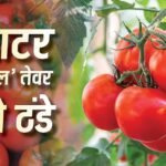 Tomato Price Hike: 70 रुपए के पार पहुंचा टमाटर, सस्ती दरों के लिए सरकार ने किया बड़ा फैसला, मिलेगी राहत