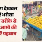 Mango Alert:क्या आप भी खरीद रहे हैं इस तरह के आम? स्वाद के चक्कर में सेहत न हो जाए खराब; ऐसे करें पहचान – Mangoes Ripened With Chemicals And Sold In Market Can Harm Your Health