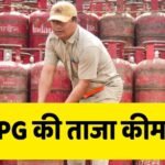 LPG Price Today: आज कितनी है 14.2 किलो वाले घरेलू सिलेंडर की कीमत? कमर्शियल सिलेंडर का भी चेक करें रेट