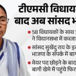 दीदी की पार्टी में खेला:दर्जनों सांसदों के टूटने का दावा, क्यों Tmc के भीतर सुलग रही है बगावत की आग? – West Bengal Tmc Political Crisis Ritabrata Banerjee Firhad Hakim Meet