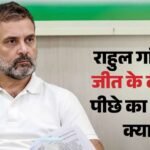 Rahul Gandhi:’2024 का चुनाव हम हारे नहीं थे, 2029 का चुनाव हम जीत चुके हैं’; राहुल के बयान के मायने क्या? – Rahul Gandhi We Didnt Lose 2024 Polls Already Won 2029 Election Lok Sabha Oppn Leader Remark Hindi News Update