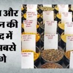किसानों को बड़ी राहत:चार राज्यों में दालों-तिलहनों की खरीद को मंजूरी; उत्तर प्रदेश बना सबसे बड़ा लाभार्थी – Major Relief For Farmers: Procurement Of Pulses Oilseeds Approved In Four States; Up Biggest Beneficiary