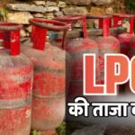 LPG Rate Today: आज कितने में बिक रहा आपके यहां 14.2 किलो वाला घरेलू गैस सिलेंडर? कमर्शियल का भी चेक करें रेट
