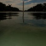 E Pluribus Algae: Why Green Pond Scum Is as American as Red, White and Blue