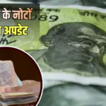 Plastic Bank Notes: क्या प्लास्टिक के नोट फोल्ड हो सकेंगे, इन्हें गिनने वाली मशीनें बदलनी पड़ेंगी?