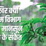 Up Weather:फिर ठिठका मानसून, अब तीन अगस्त तक पड़ सकती है बेचैन करने वाली उमस-गर्मी; ये है आज का पूर्वानुमान – Up: Monsoon Stalls Again In The State, Now Uncomfortable Heat And Humidity May Persist Until August 3