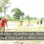 Mandla News: खेत में उतरीं कैबिनेट मंत्री सम्पतिया उइके, महिलाओं संग की धान की रोपाई; सादगी का वीडियो वायरल