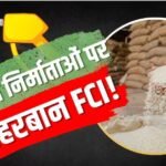 FCI ने एथेनॉल कंपनियों को 40% सस्ते में बेचा चावल, संसद में RTI से खुलासा