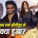 डॉन 3 विवाद से लेकर आमिर खान की तीसरी शादी तक, 2026 में अब तक बॉलीवुड ने ऐसे किया फैंस को हैरान